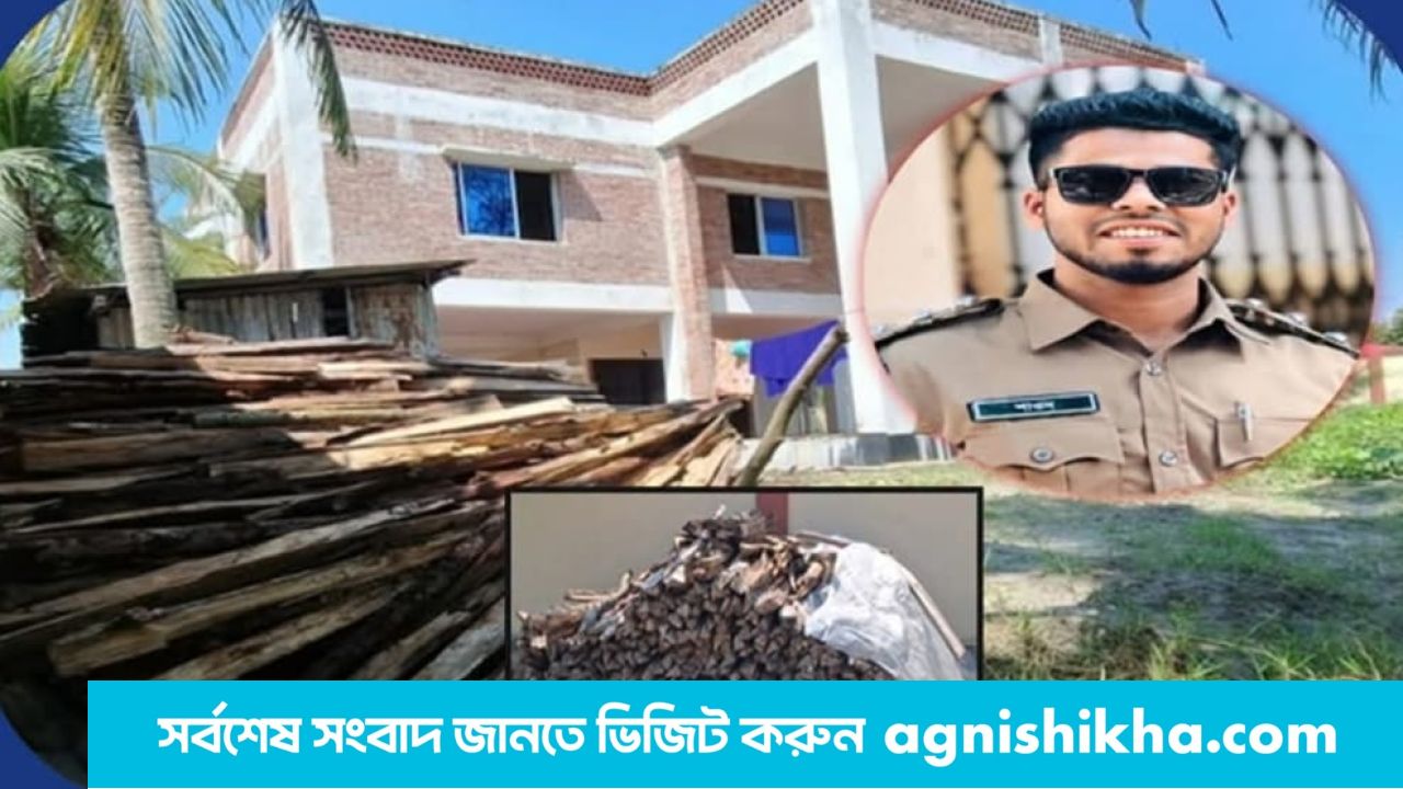 টেংরাগিরির গাছ কেটে জ্বালানির অভিযোগ