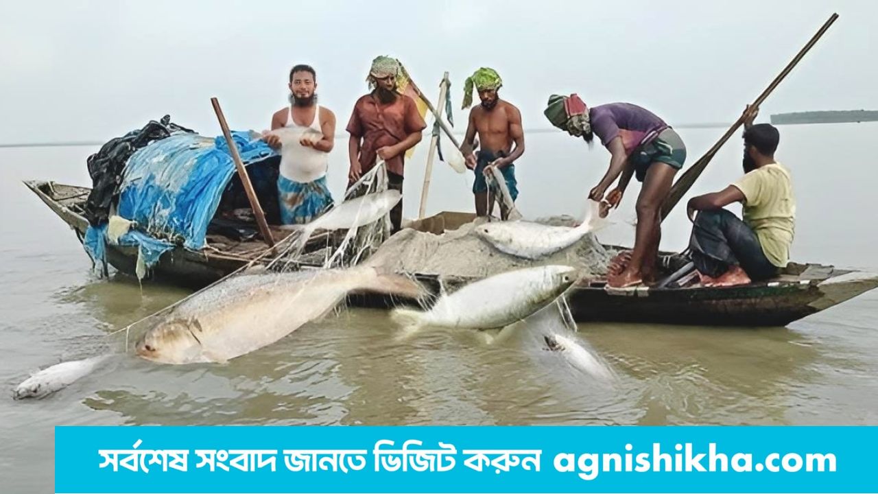 মা ইলিশ রক্ষায় ২২ দিনের নিষেধাজ্ঞা শুরু